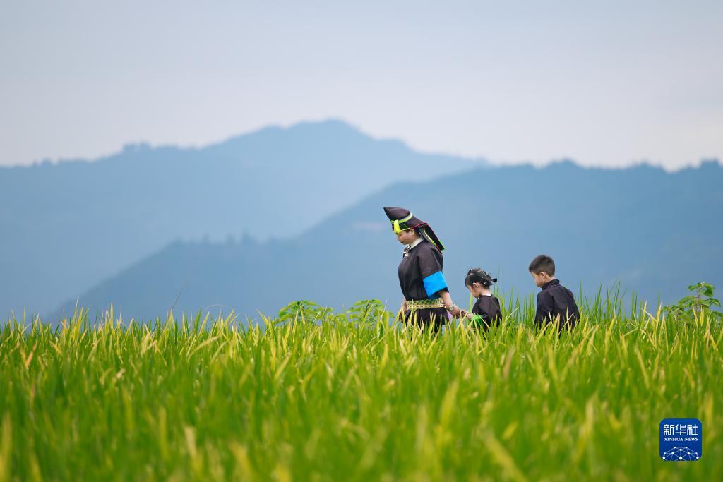 最新菠菜论坛